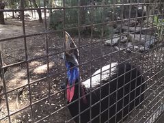 -费瑟代尔野生动物园