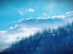 -帽儿山国家森林公园