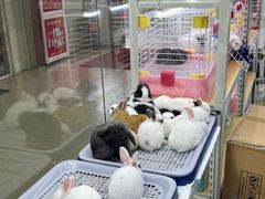 -三旗百汇商品城