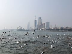 -青岛第二海水浴场