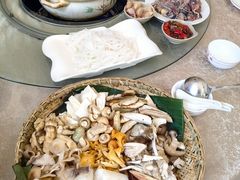 -原林野山菌火锅·炒菌(关上野生菌一条街店)