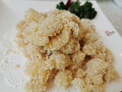 椒盐龙利鱼-阿英煲(凉城路店)