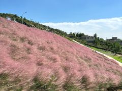 -沂蒙云瀑洞天景区