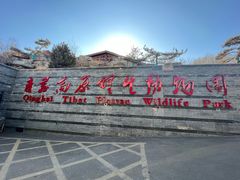 -青藏高原野生动物园