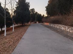 -北京西山国家森林公园