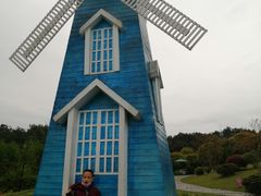 -铁山坪森林公园