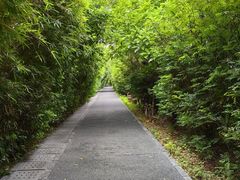 -华侨城湿地公园