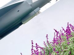 -成飞公园