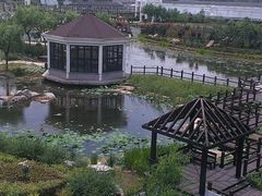 android_upload_pic-上海鲜花港