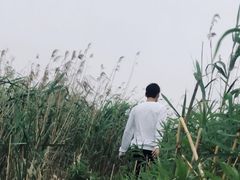 -南汇嘴观海公园