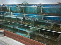 -正亮农家院·海鲜本地菜