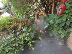 -观澜山水田园