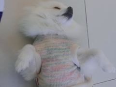 -怪兽屋·羊驼·猫咖·狗咖(俊华广场店)