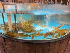 -耕渔小院·湖南鱼鲜(望城店)