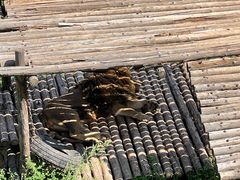 -青藏高原野生动物园
