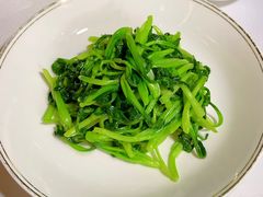 鸡毛菜-火璽·園