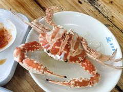 -蓝湾碧波·老字号·疍家非遗海上餐厅