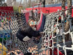 -西安市长乐公园