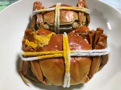 -黄记大闸蟹专卖店·活蟹·醉蟹