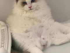 -昆山招商花园城