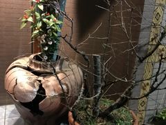 -みかわ是山居