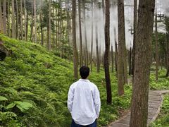 -洛阳白云山景区