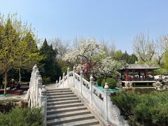 -宣武艺园