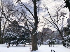 -北海道厅旧本厅舍(旧本庁舎)