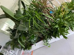 -MEGA BASE 健身馆(南山店)