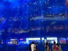 -成都浩海立方海洋公园