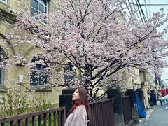 -京都御所