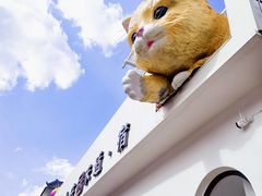 -何适山庄 ·可团建(水长城P2停车场店)