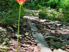 -树山生态村