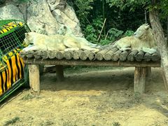 -郑州银基国际旅游度假区