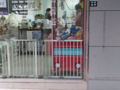-汪小喵宠物·戴维斯乐芳希施宠馨宝皮毛调理洗护店