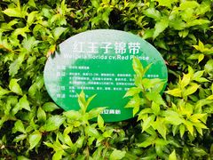 -唐城墙遗址公园