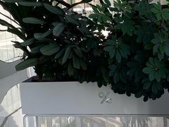 -% Arabica阿拉比卡咖啡(罗湖万象城店)