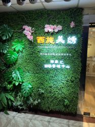 点击看大图 -西施无菌半永久纹绣眉眼影唇轻增发纹发际线