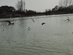 -渤公岛生态公园