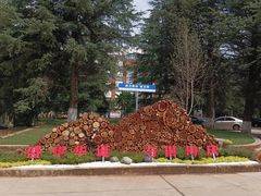 -西南林业大学(白龙校区)