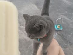 -诺德健游泳健身