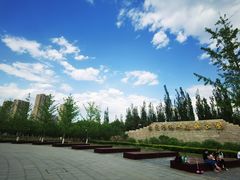 -永定河休闲森林公园