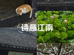 -上海醉白池公园