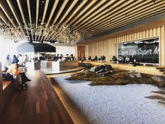 -Seesaw Coffee(朝阳大悦城店)