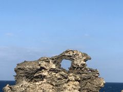 -龙坑生态保护区