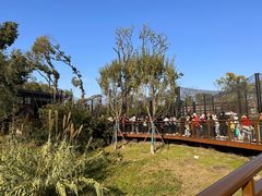 -武汉动物园