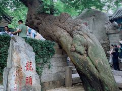 -青岛崂山太清宫