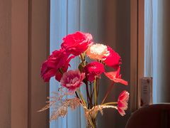 -Tomacado花厨(One ITC店)