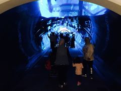 -迪拜水族馆及水下动物园
