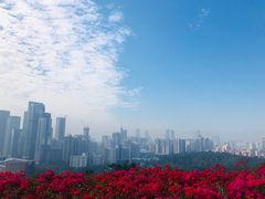 -荔枝公园-小平画像广场
